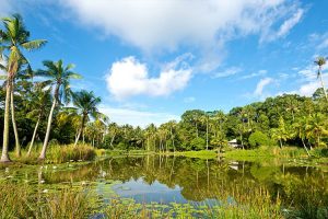 pulau ubin singapour